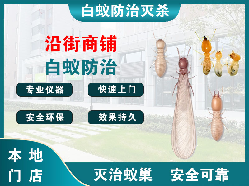 海盐县沿街商铺白蚁防治