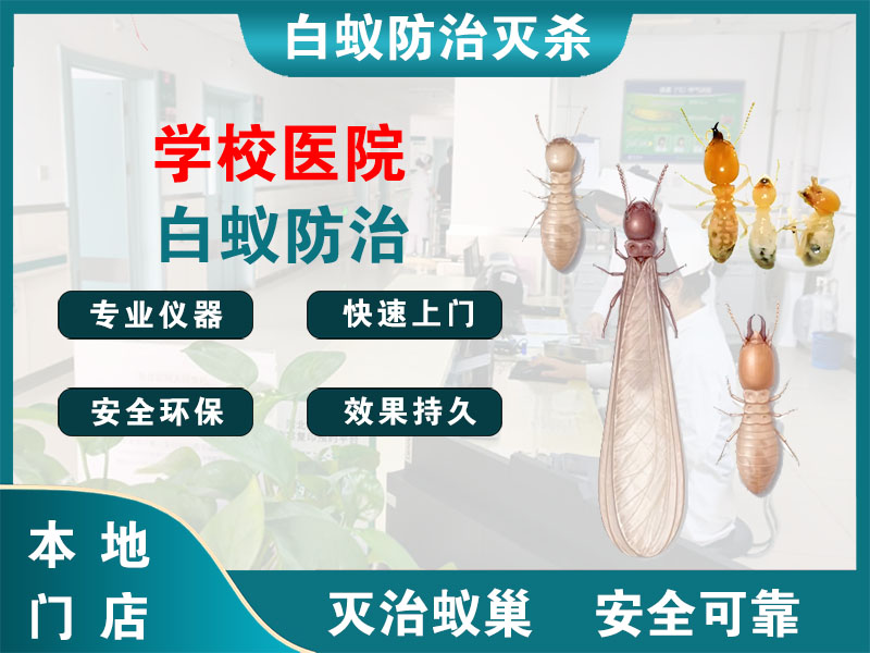 海盐县学校医院白蚁防治