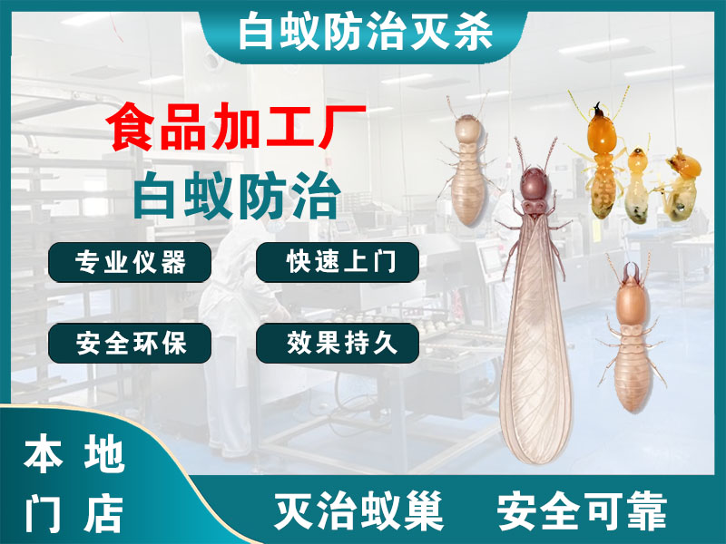 海盐县食品加工厂白蚁防治