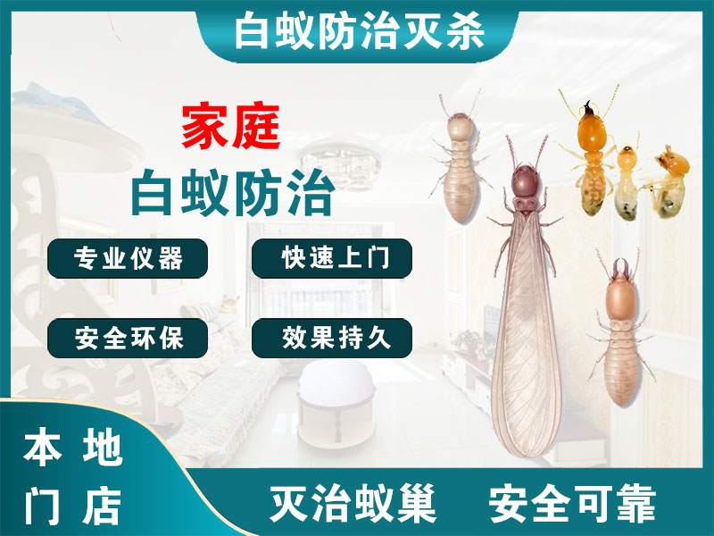海盐县家庭白蚁防治