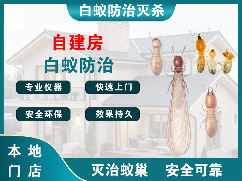 海盐县自建房白蚁防治