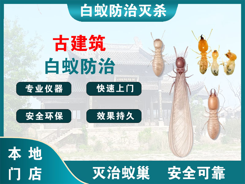 海盐县古建筑白蚁防治
