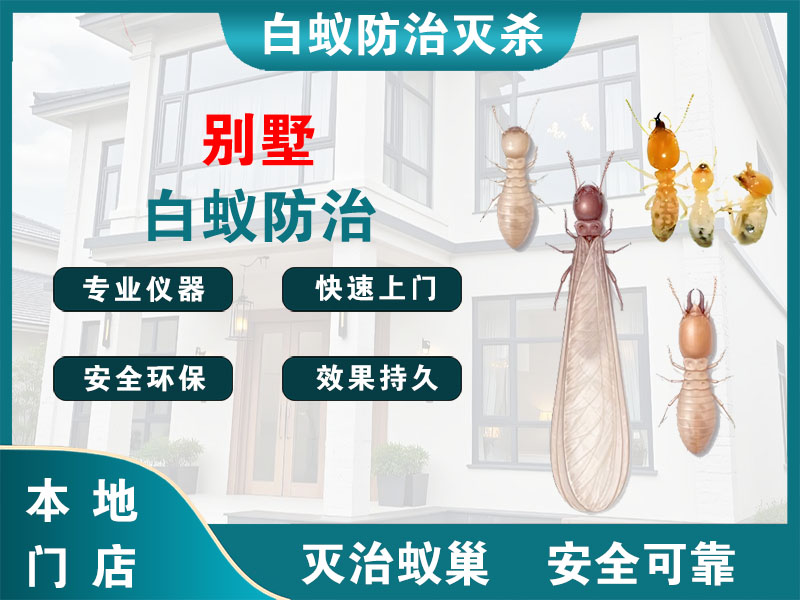 海盐县别墅白蚁防治