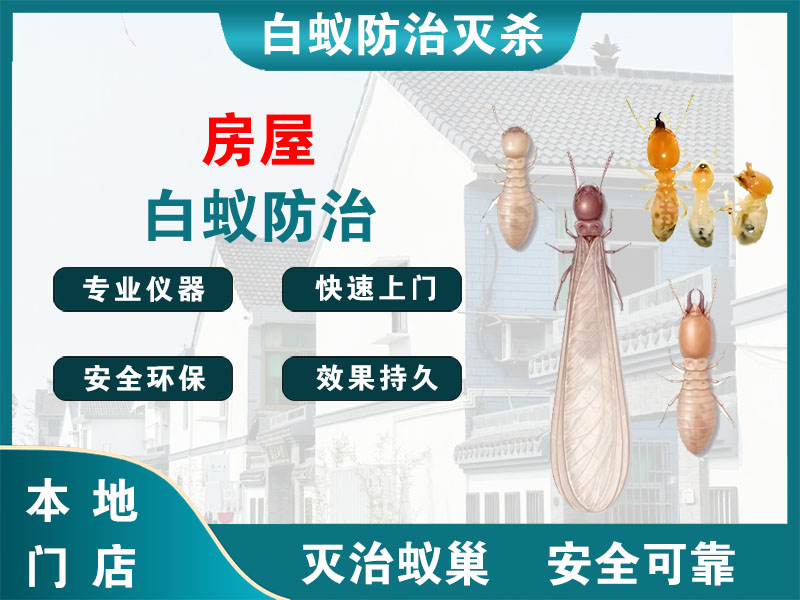 海盐县房屋白蚁防治